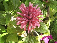 34aa6905-Picture 002.jpg